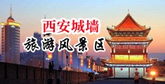 插入嫩逼网站中国陕西-西安城墙旅游风景区
